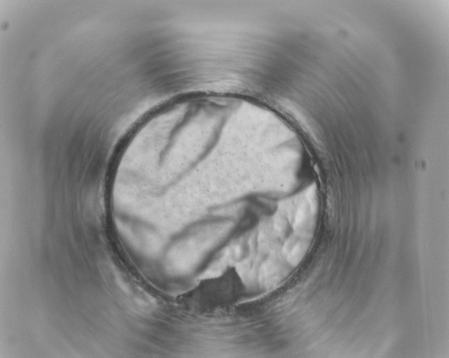 X0000089440532200707061411