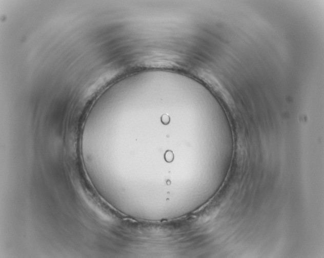 X0000089440533200707061411