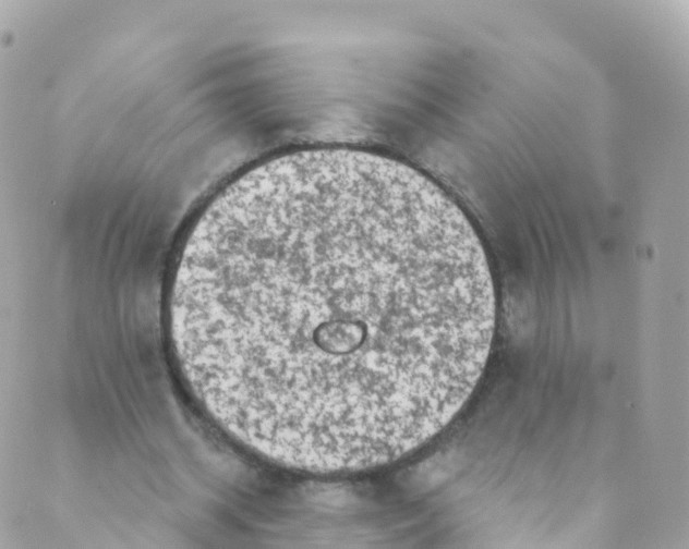 X0000089440534200707061411