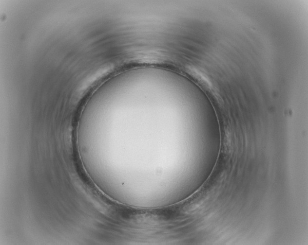 X0000089440535200707061411