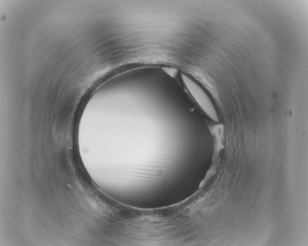 X0000089440536200707061411