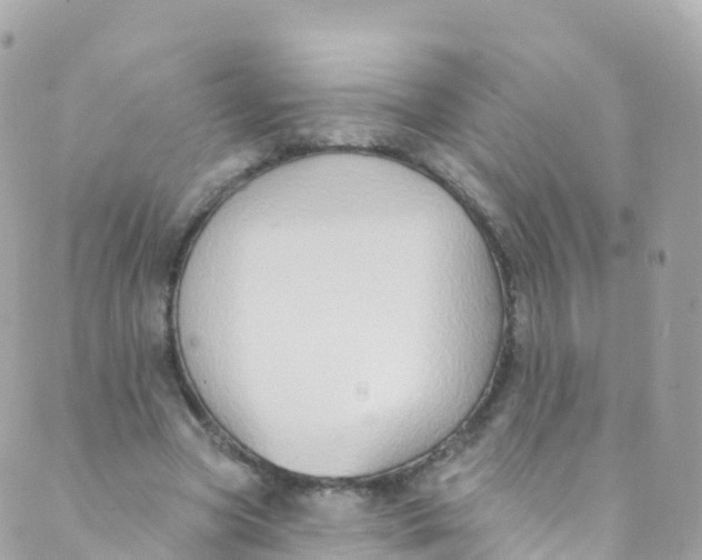 X0000089440537200707061411