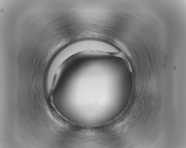 X0000089440538200707061411