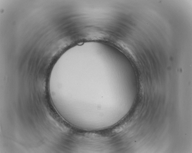 X0000089440539200707061411