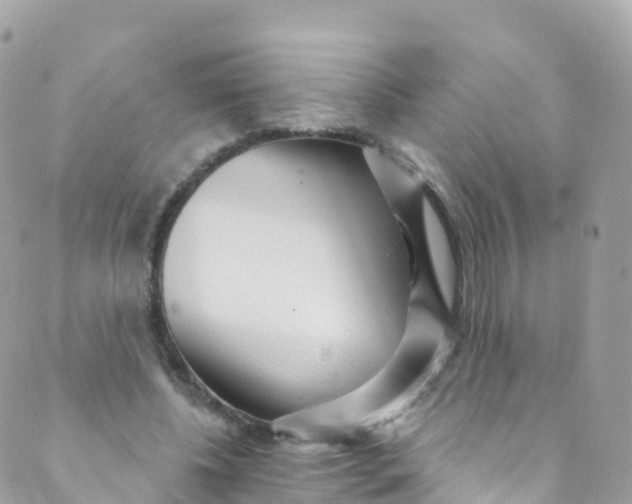 X0000089440540200707061411