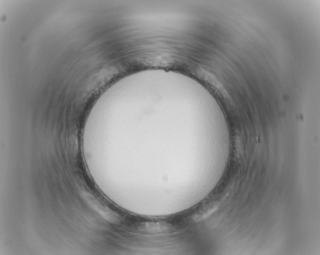 X0000089440541200707061411