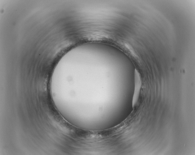 X0000089440543200707061411