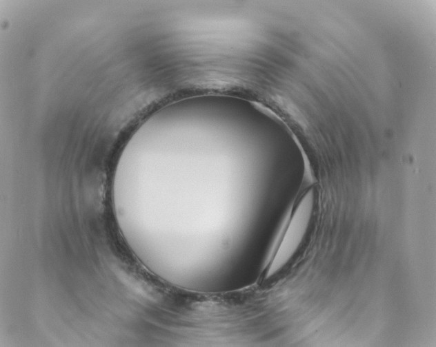 X0000089440544200707061411