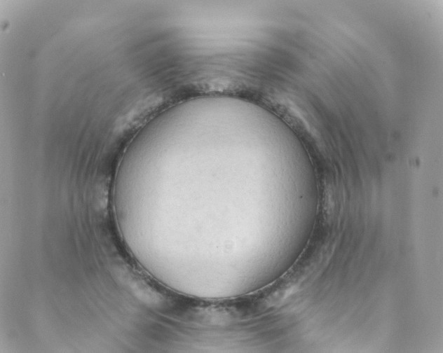 X0000089440545200707061411