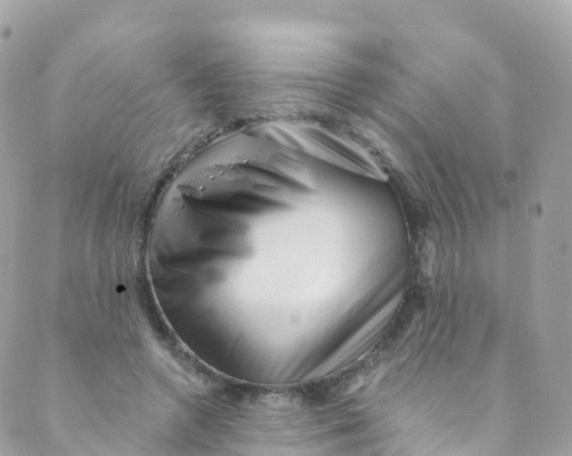 X0000089440546200707061411