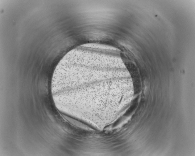 X0000089440547200707061411