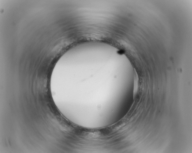 X0000089440548200707061411