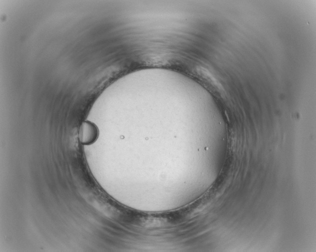 X0000089440549200707061411