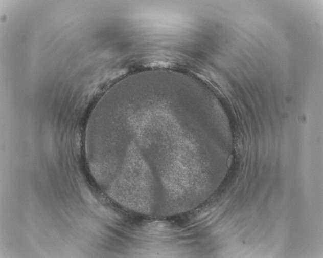 X0000089440551200707061411