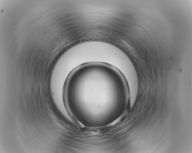 X0000089440552200707061411