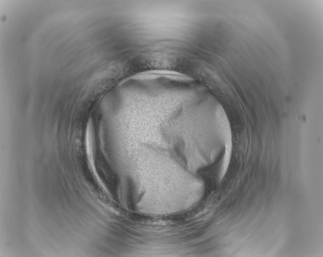 X0000089440553200707061411