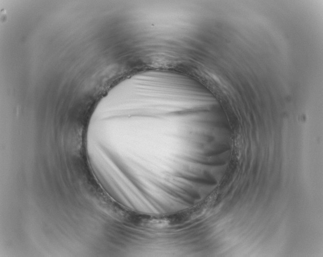 X0000089440554200707061411