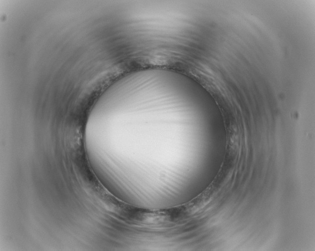 X0000089440555200707061411