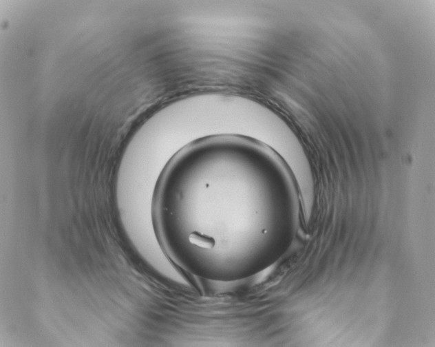 X0000089440556200707061411