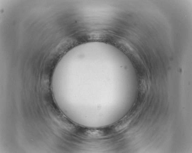 X0000089440557200707061411