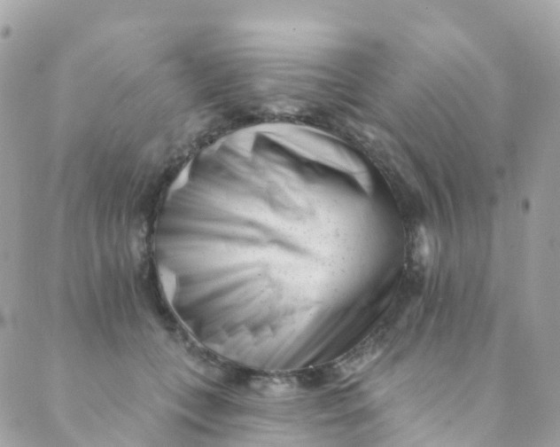 X0000089440559200707061411