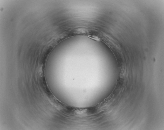 X0000089440560200707061411