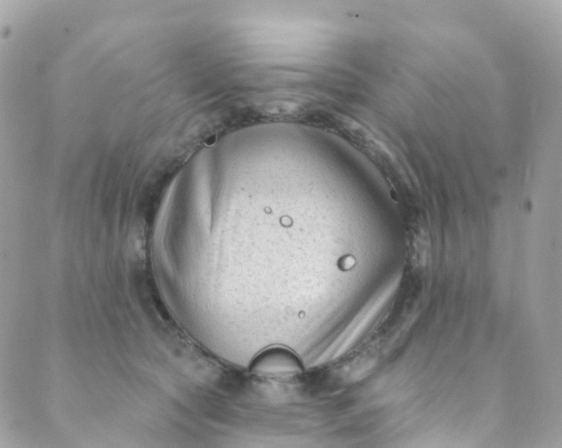 X0000089440561200707061411