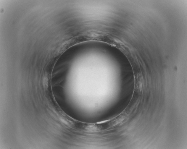 X0000089440562200707061411