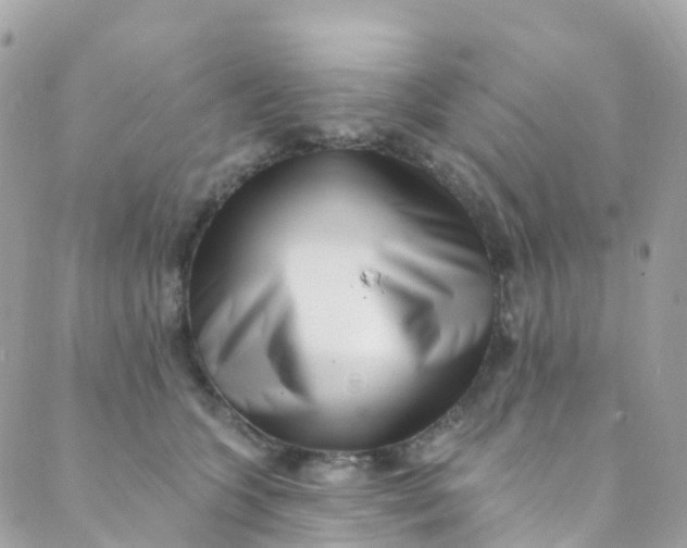 X0000089440563200707061411