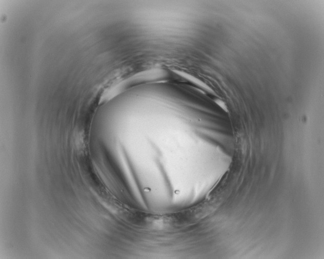 X0000089440564200707061411