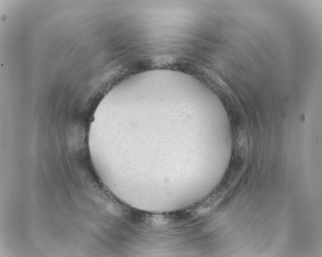 X0000089440565200707061411