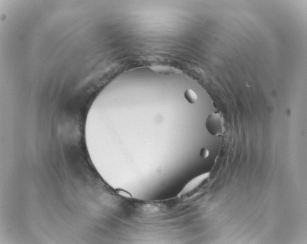 X0000089440566200707061411