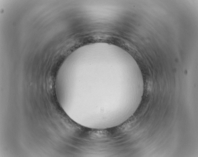 X0000089440567200707061411