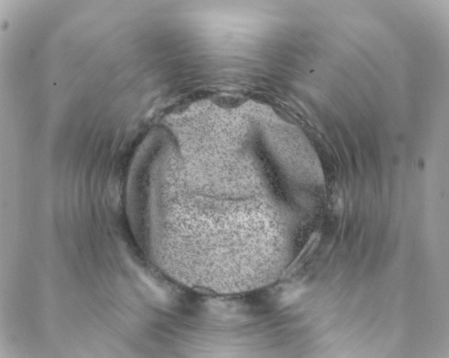 X0000089440568200707061411