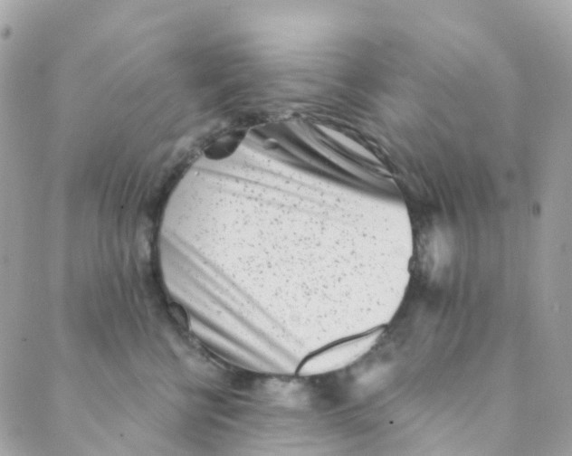 X0000089440570200707061411