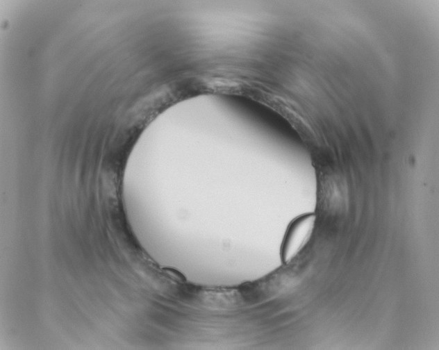 X0000089440571200707061411