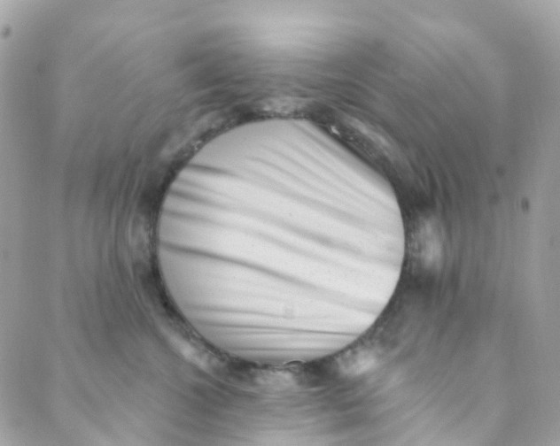 X0000089440572200707061411