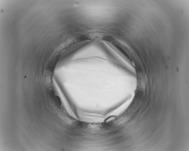 X0000089440573200707061411