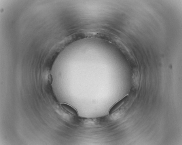 X0000089440574200707061411