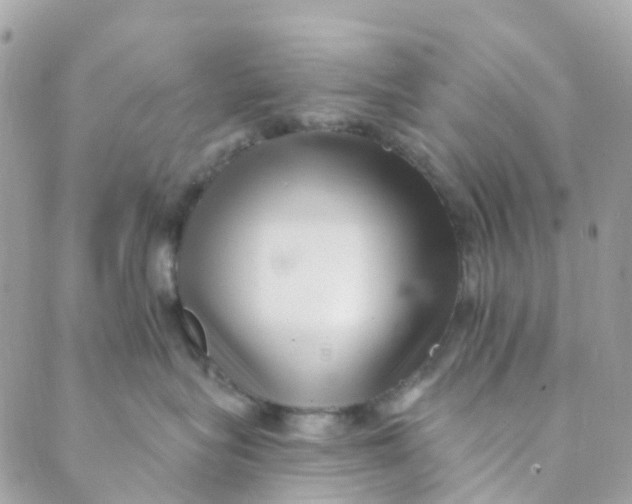 X0000089440575200707061411