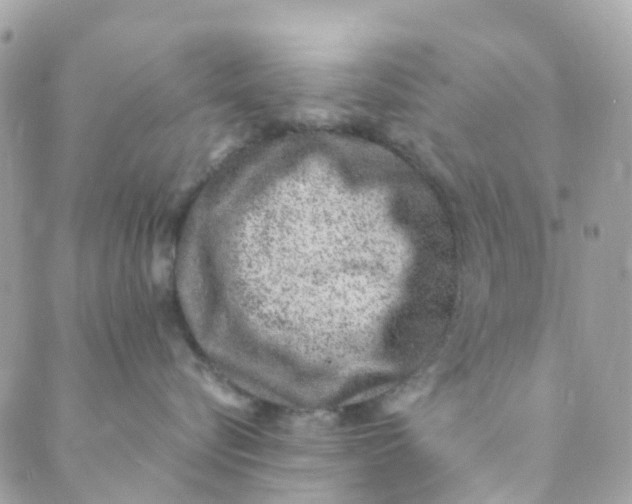 X0000089440576200707061411