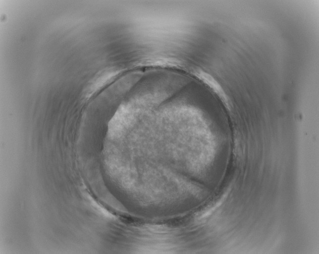 X0000089440577200707061411