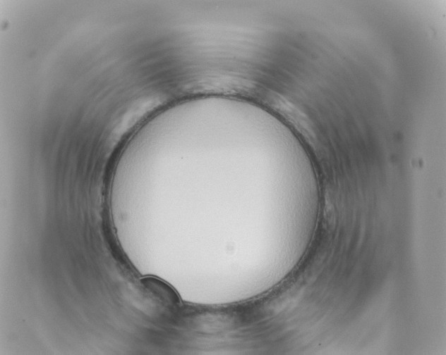 X0000089440578200707061411