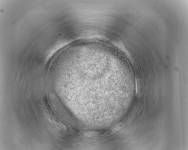 X0000089440579200707061410