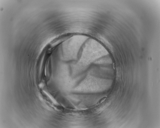 X0000089440580200707061410