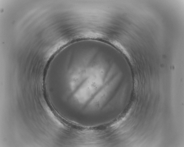 X0000089440581200707061410