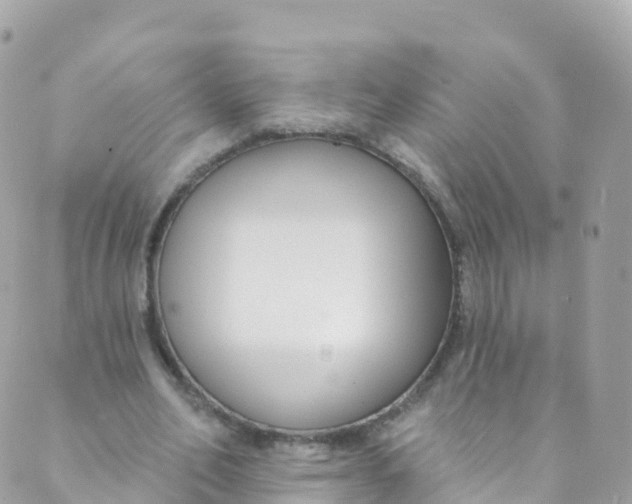 X0000089440582200707061410