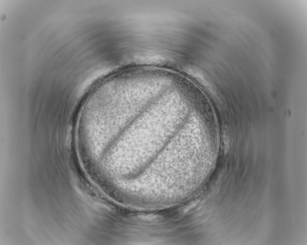 X0000089440583200707061410