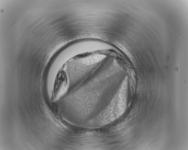 X0000089440584200707061410