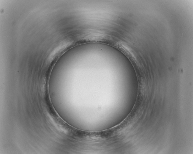 X0000089440586200707061410